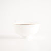 The Merlion - Rice Bowl