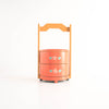 Bouquet - 2 Tier Tiffin
