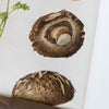 Pasar Botanica - Tea Towel
